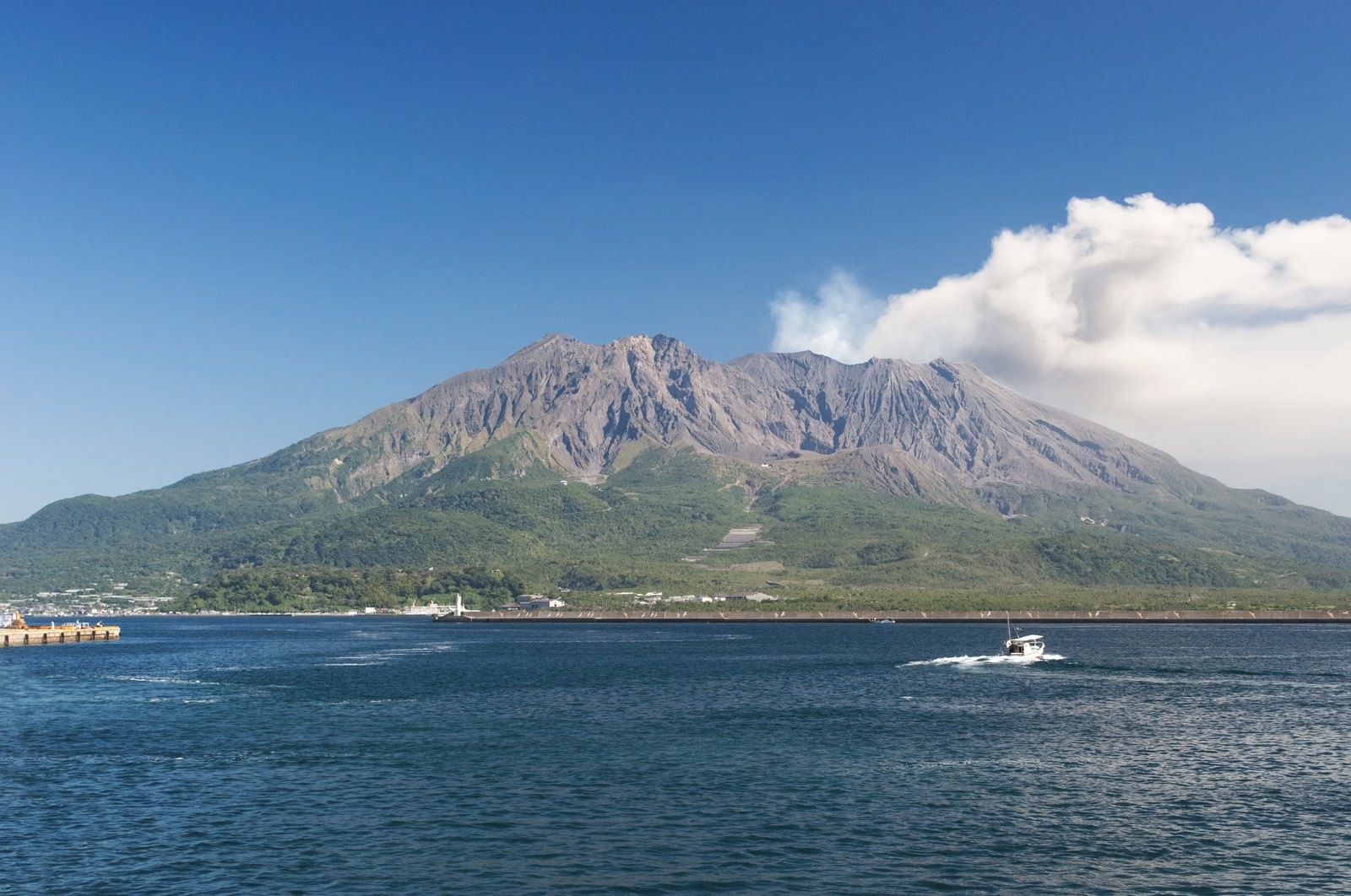 Autumn Fishing in Kagoshima: Join a Private Fishing Charter from Just 1 Guest, with Views of Sakurajima